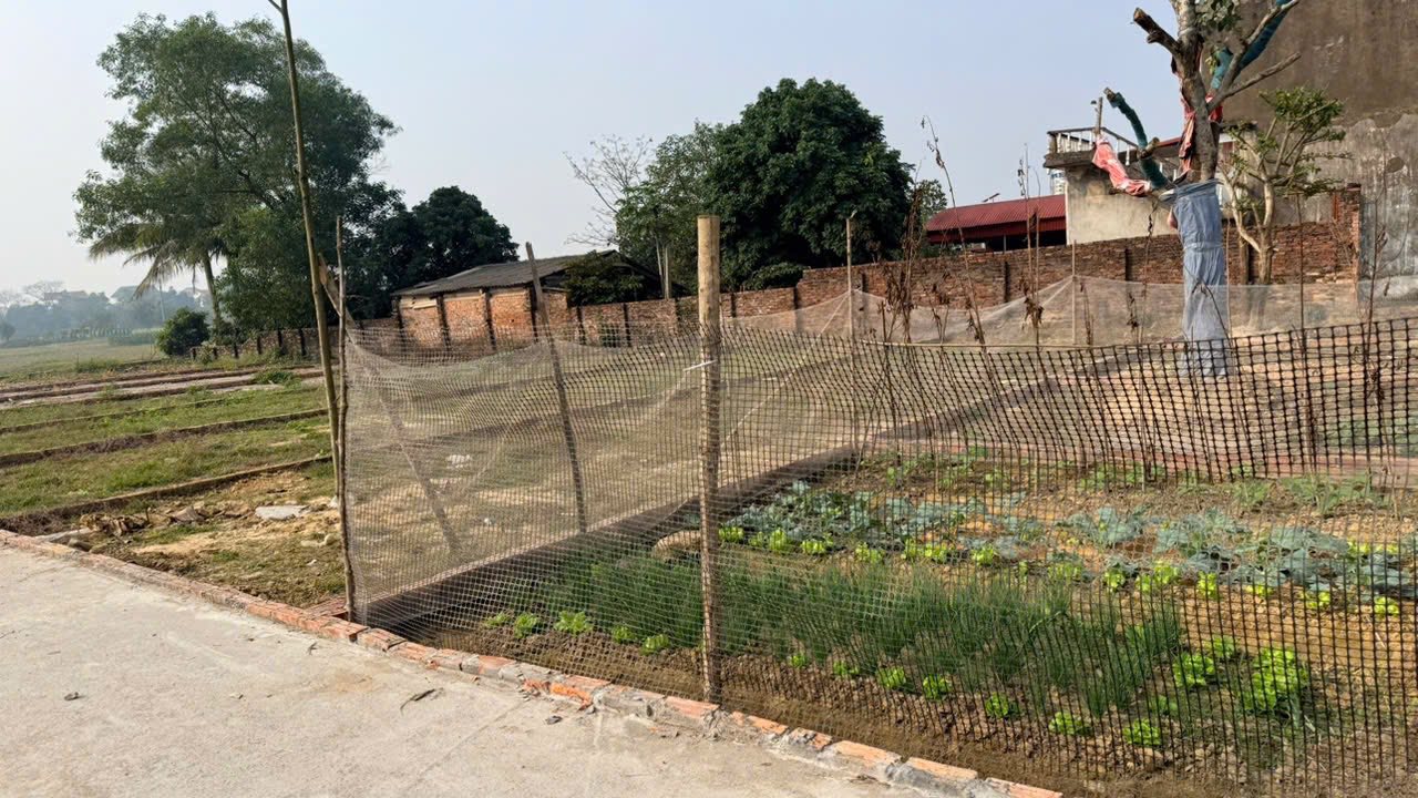 Lô đất Bắc Lý Hiệp Hòa 100m² giá 600 triệu - Cơ hội đầu tư sinh lời!