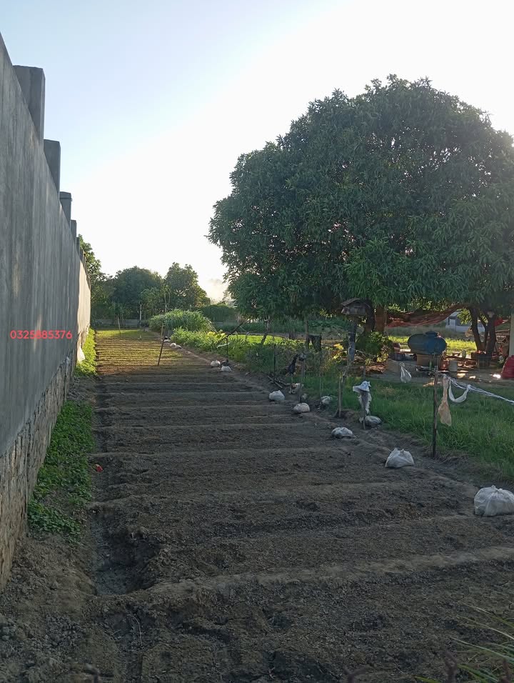 Đất góc 2 mặt tiền Tấn Tài, Phan Rang 120m² giá chỉ 6xx triệu - Cơ hội đầu tư tuyệt vời!