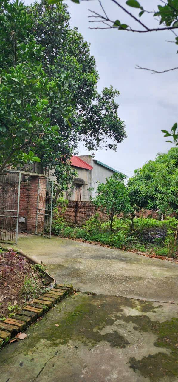 Đất nền Đa Mai Bắc Ninh 600m² giá chỉ 2 tỷ - Cơ hội đầu tư tuyệt vời!