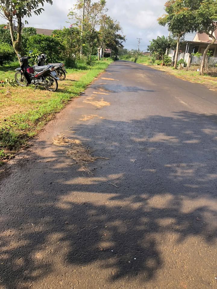 Đất nền biệt thự Lạc Long Quân Bảo Lâm 320m² - Giá tốt cho đầu tư!