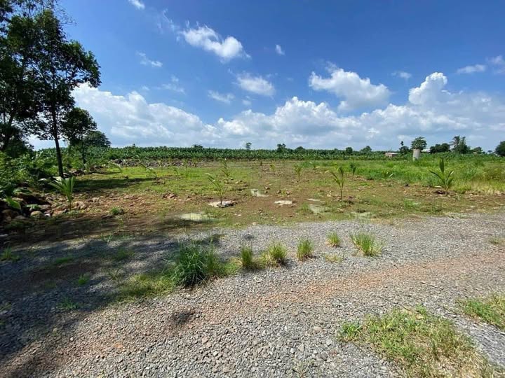 Đất nền Trảng Bom 1169m² giá 500 triệu - Cơ hội đầu tư sinh lời!