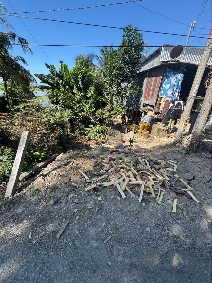 Đất nền Tân Phú Châu Thành 250m² giá 500 triệu - Đầu tư sinh lời tiềm năng!