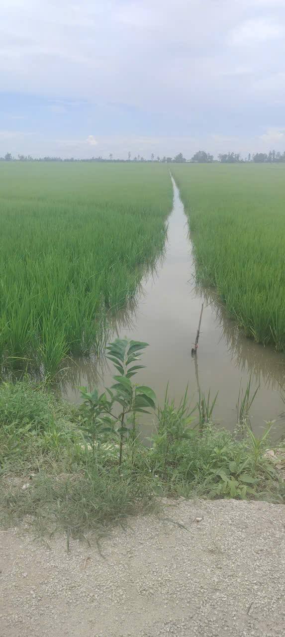 Đất nền Vĩnh Phú, Tri Tôn - 83.000m² giá 5.78 tỷ - Cơ hội đầu tư hấp dẫn!