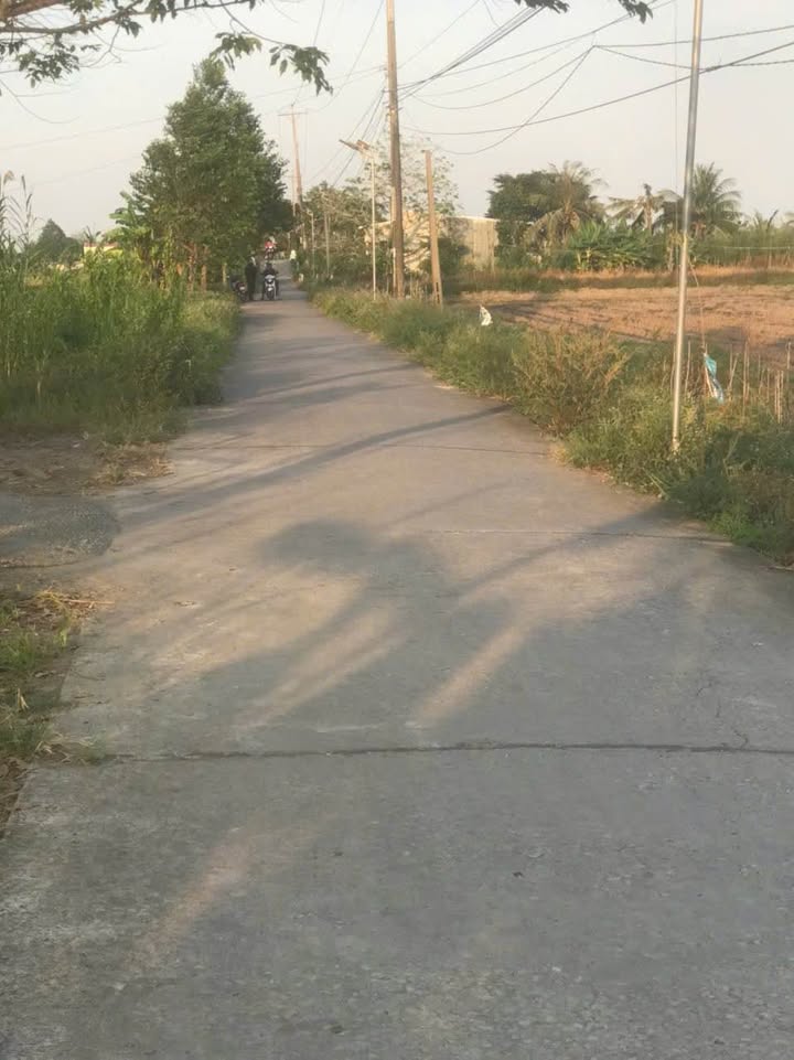 Đất nền 1200m² tại ấp Long Thạnh, Cần Thơ - Cơ hội đầu tư sinh lời cao!