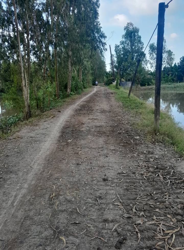 Đất nông nghiệp Vọng Đông, Thoại Sơn 30 Công - Giá 3.9 tỷ - Cơ hội đầu tư hấp dẫn!