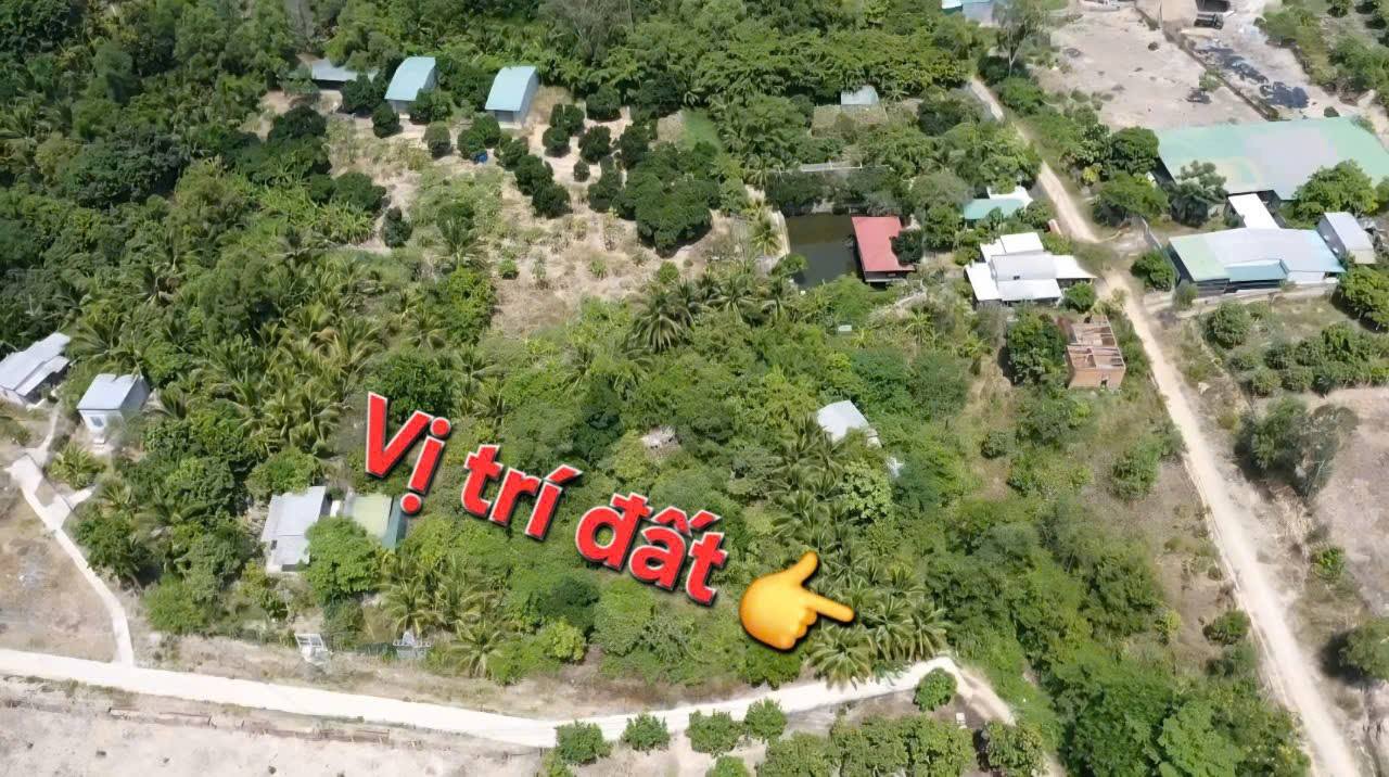 Đất vườn Phước Thượng 1992m² giá 2 tỷ - Phù hợp nghỉ dưỡng lý tưởng!