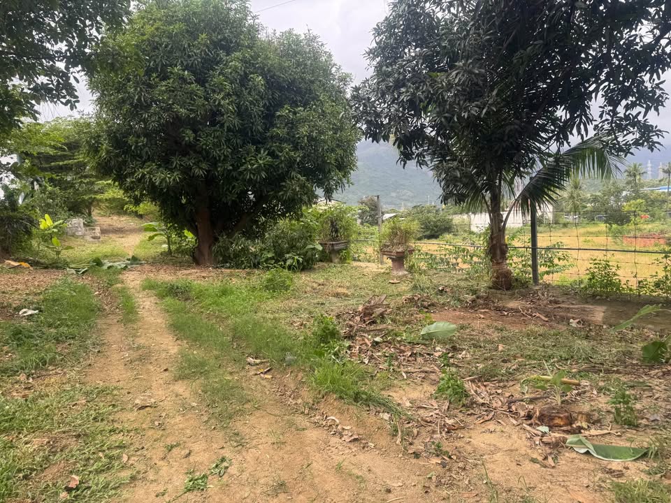 Đất Vĩnh Phương Nha Trang 2140m² giá 8.9 tỷ - Đường ô tô 4-5m, cơ hội đầu tư hấp dẫn!