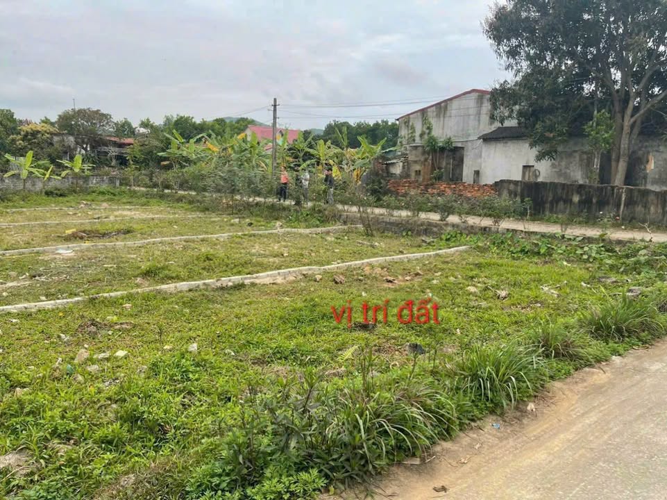 Đất nền lô góc 134m² tại Công Chính, Nông Cống - Cơ hội đầu tư hấp dẫn!