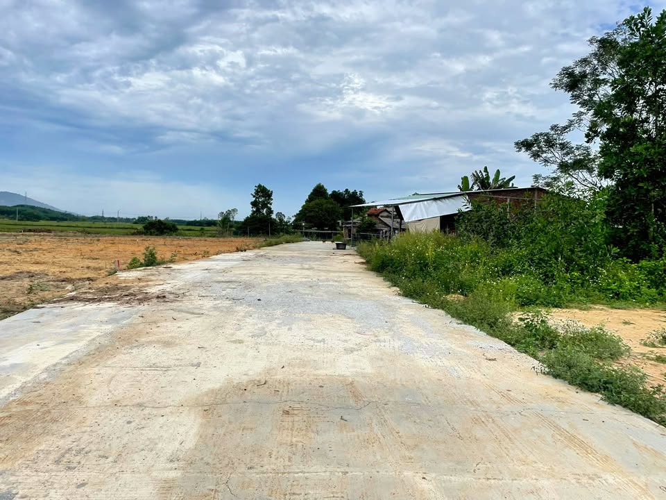 Đất nền Hòa Phong, Hòa Vang 365m² giá 2 tỷ - Sổ hồng chính chủ, thích hợp đầu tư!