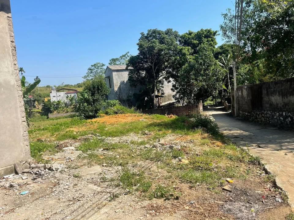 Đất thổ cư 205m² tại phường An Tường, Tuyên Quang - Giá chỉ 2 tỷ, chuyển nhượng gấp!