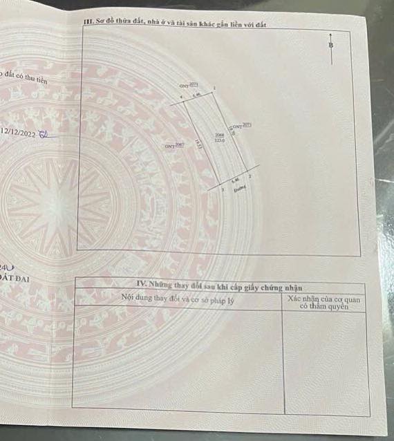 Đất nền góc 2 đường 24, phường Nghi Phong, 123m² - Giá thỏa thuận hấp dẫn!