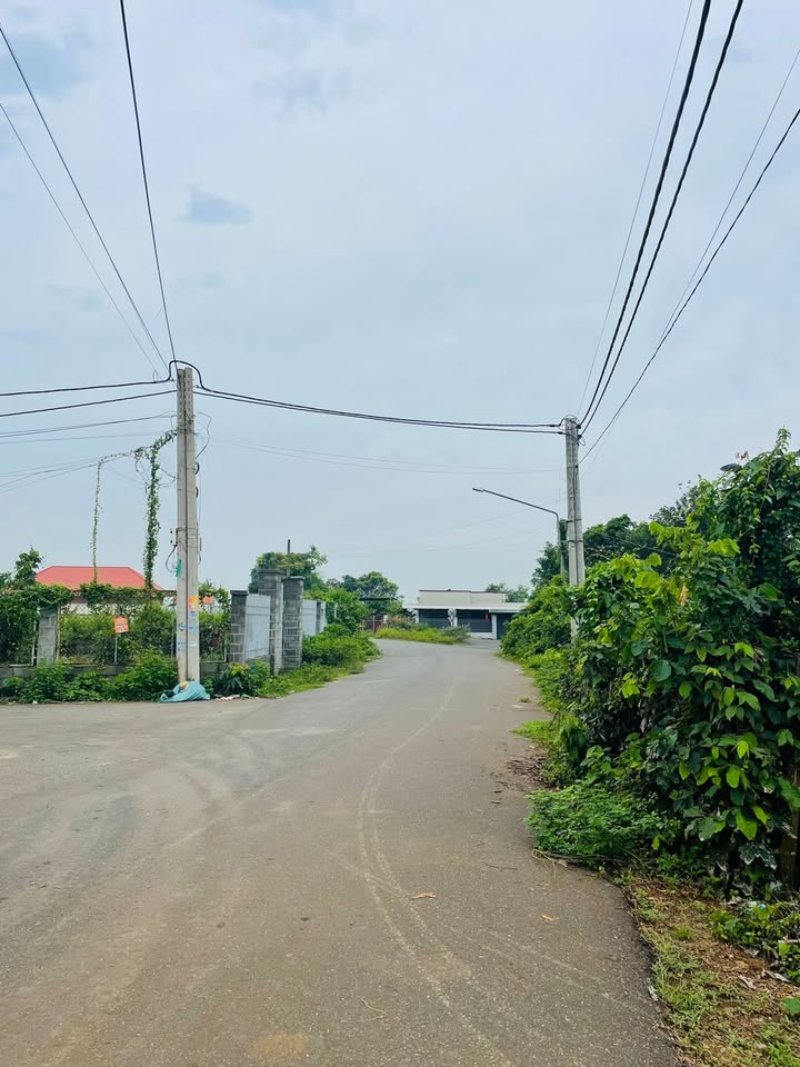 Bán đất Hương Lộ 3, Long Phước, Bà Rịa - 342m² chỉ 2.5 tỷ - Sổ đỏ chính chủ!