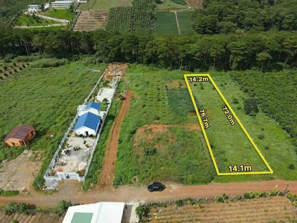 Đất nghỉ dưỡng Bảo Lộc 1049m² giá 1.6 tỷ - Gần rừng thông, tiềm năng phát triển!