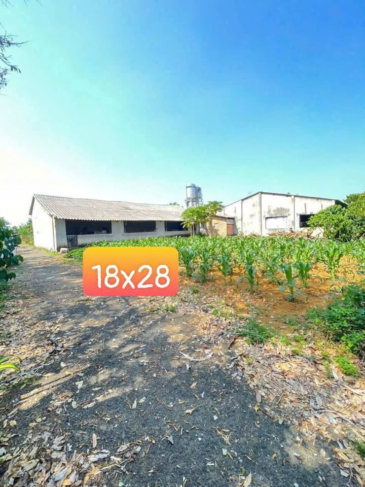 Đất thổ cư Bảo Lộc 504m² giá 2.4 tỷ - Đầu tư sinh lời ngay!