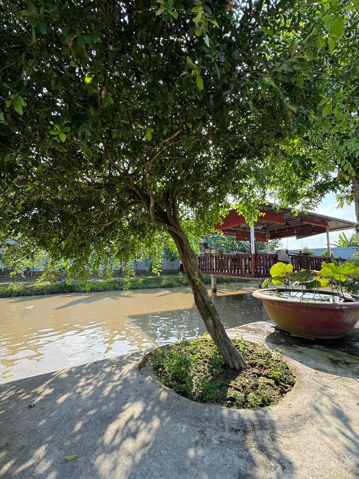 Đất nghỉ dưỡng Cái Răng 1895m² giá 8 tỷ - Cơ hội đầu tư tuyệt vời!