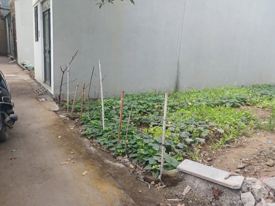 Đất Vĩnh Quỳnh, Thanh Trì 41,2m² giá 4 tỷ - Vị trí đắc địa, sổ hồng chính chủ!