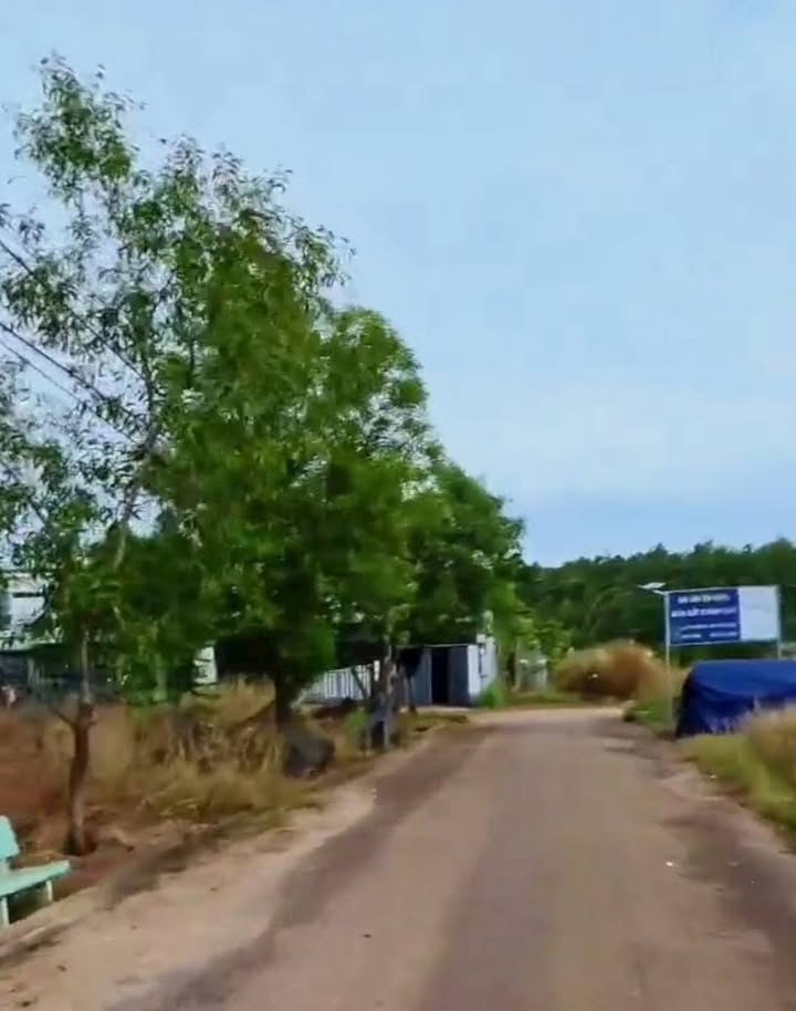 Đất thổ cư mặt tiền đường nhựa 9m tại Phước Tân, Đồng Xoài - Chỉ 500 triệu!