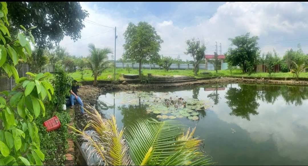 Đất nền 3600m² xã Bàu Hàm, Trảng Bom giá 4 tỷ - Cơ hội đầu tư hiếm có!