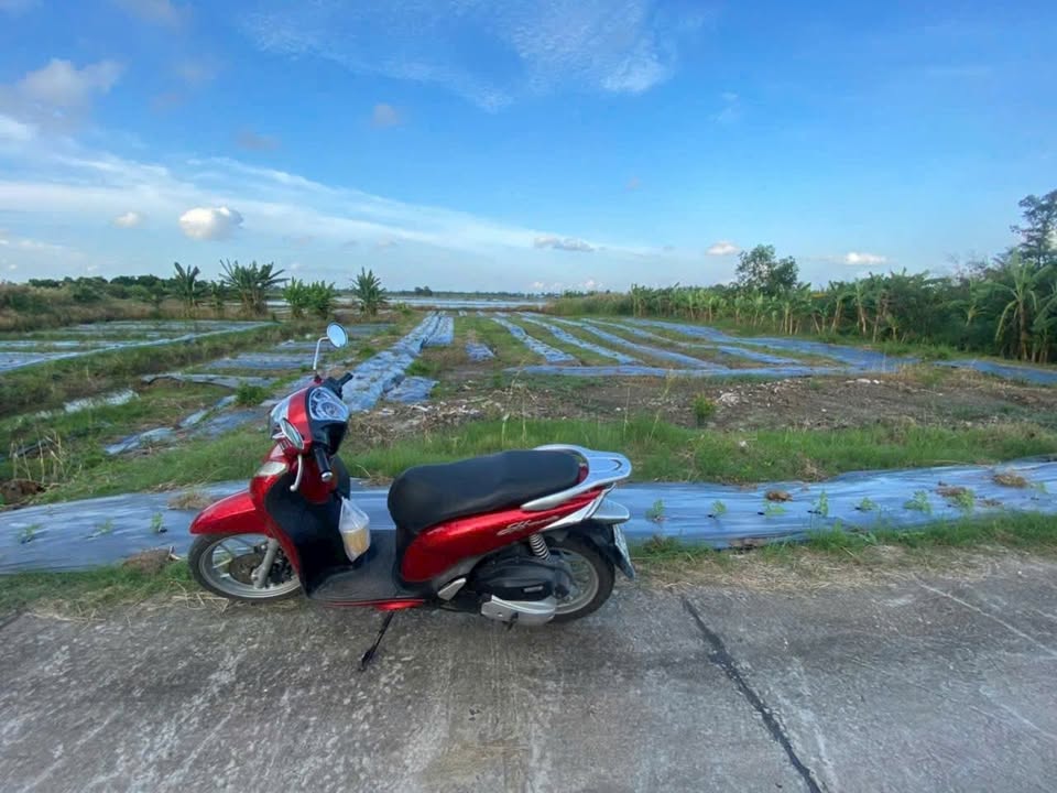 Đất nền tại phường Lý Văn Lâm, Cà Mau 810m² giá 810 triệu - Đầu tư lý tưởng!