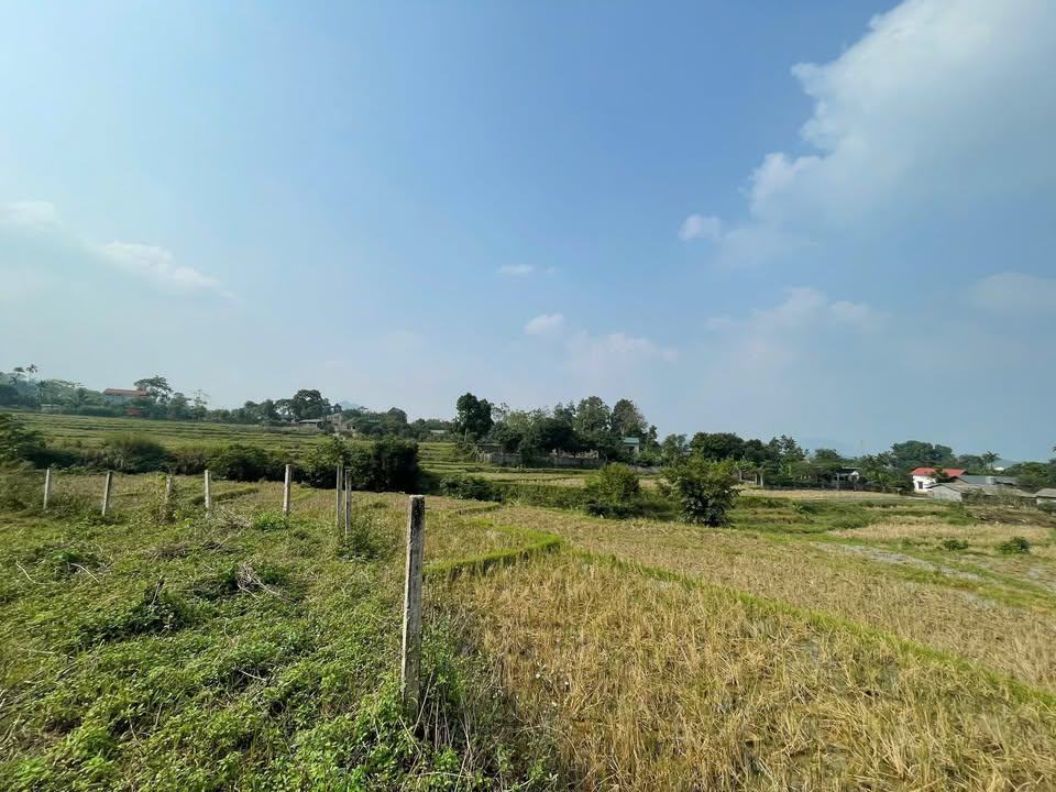 Đất nền Lương Sơn Phú Thọ 2.648m² giá 2.648 tỷ - Sổ đỏ chính chủ, đầu tư sinh lời!