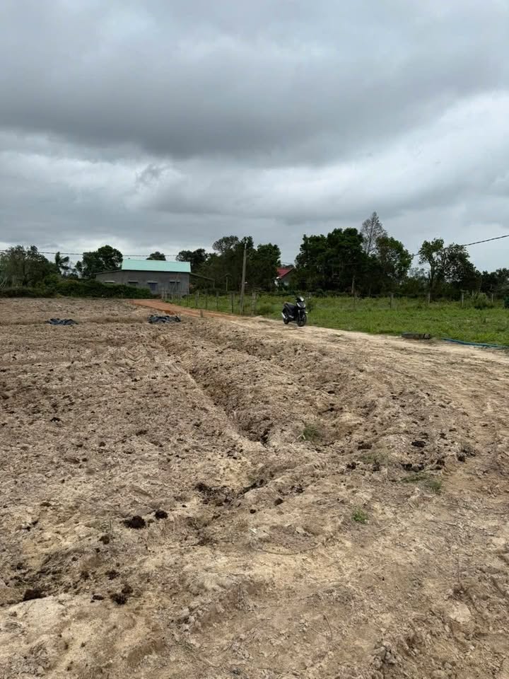 Đất nền phường Bình Hiệp, Tây Sơn 1000m² - Giá cả phải chăng, cơ hội đầu tư hấp dẫn!