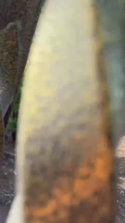 Đất nền Bình Tiền, Đức Hòa, Long An 720m² chỉ 8.5 tỷ - Tiềm năng đầu tư lớn!