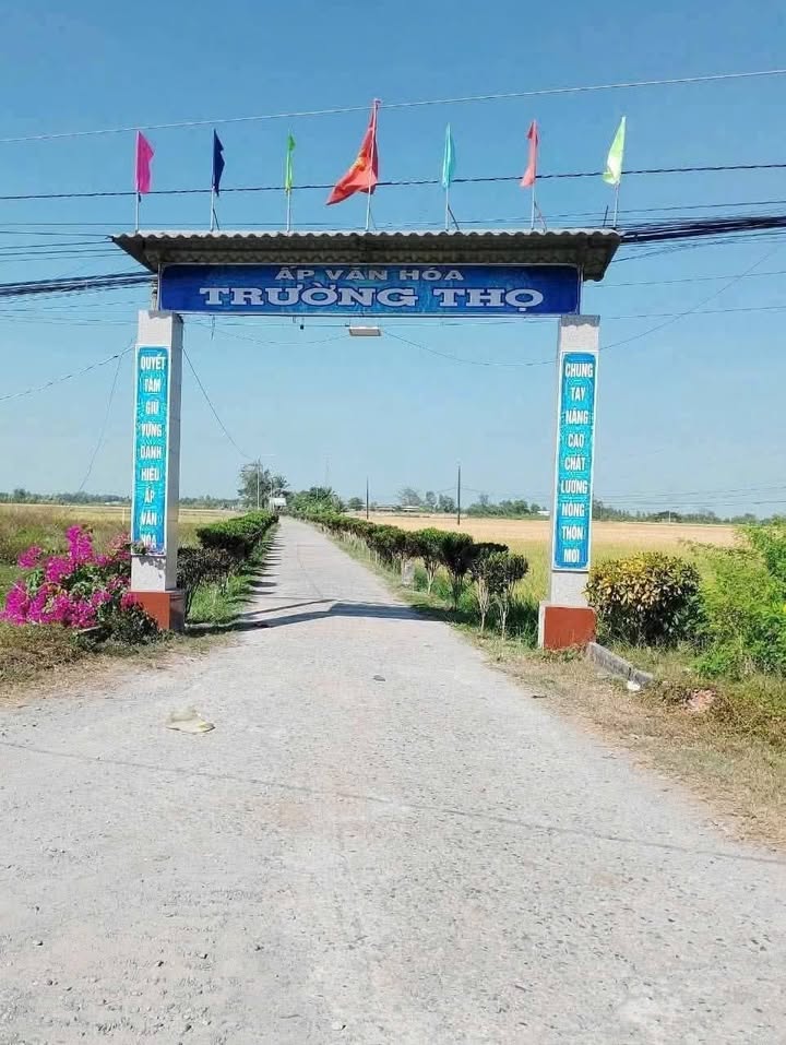 Đất nền Trường Khánh, Sóc Trăng 4000m² giá 1.25 tỷ - Cơ hội đầu tư tuyệt vời!