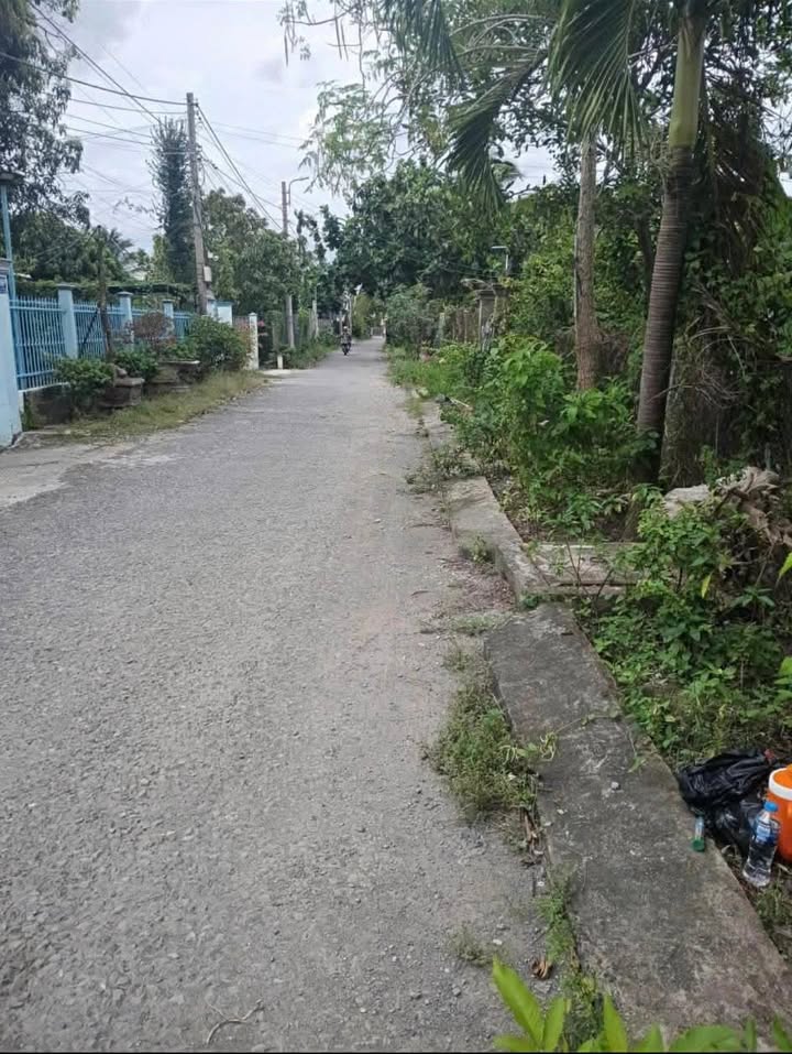 Đất nền Tân Hội, Tân Ngãi 437m² giá chỉ 2.624 tỷ - Sổ hồng chính chủ!