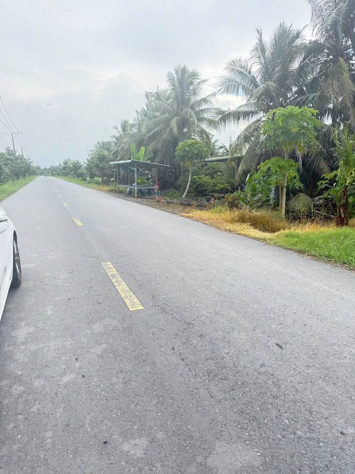 Đất nền mặt tiền 908 Phú Thịnh, Tam Bình - Diện tích 806m², giá 3.224 tỷ - Chính chủ bán gấp!