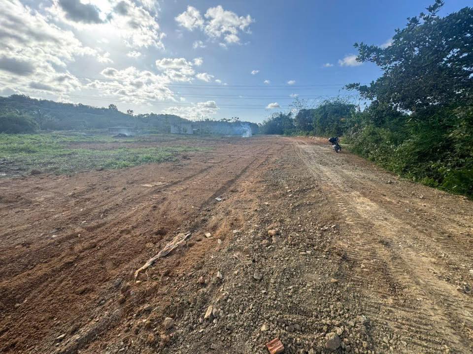 Đất 8 sào Trúc Sơn, Cư Jút giá 1.6 tỷ - View suối thoáng mát!