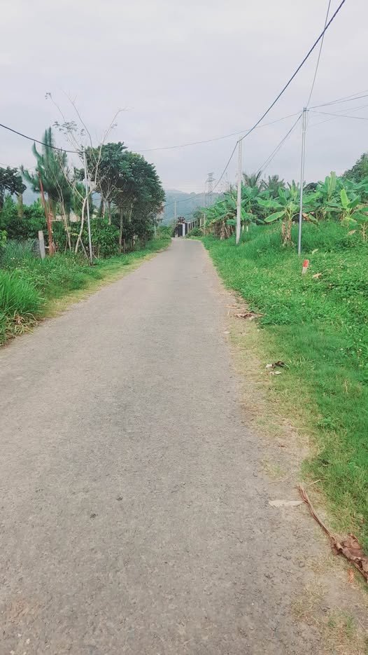 Đất thổ cư thôn 16 Lộc Thành 218m² giá 436 triệu - Cơ hội đầu tư tuyệt vời!