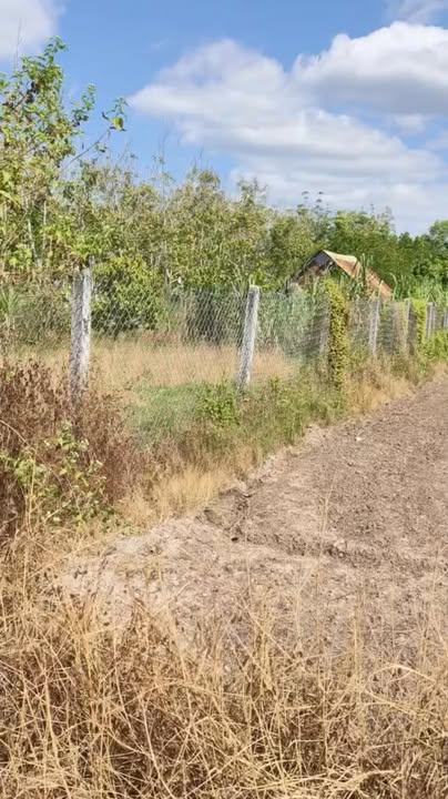 Đất nền 49.000m² tại Đồng Khởi, Châu Thành - Giá chỉ 1.9 tỷ, cơ hội đầu tư tuyệt vời!