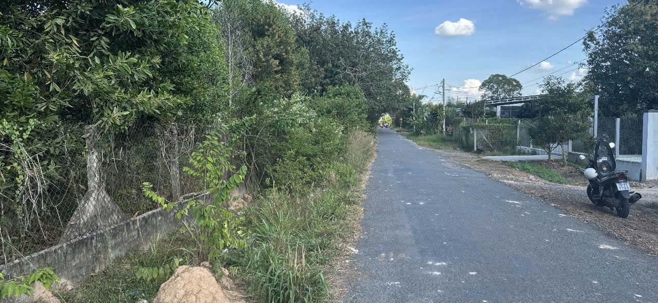 Đất nền Thanh Hùng, Hòa Thành 1400m² giá 14 tỷ - Cơ hội đầu tư không thể bỏ lỡ!