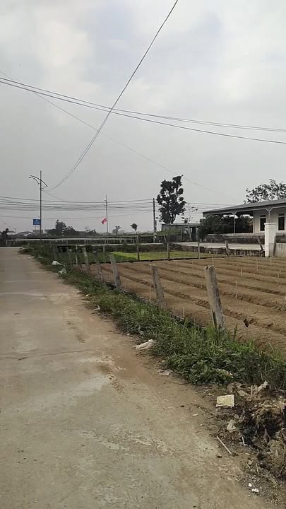 Đất nền Quỳnh Liên 160m² giá thỏa thuận - Lô góc 2 mặt tiền đắc địa!