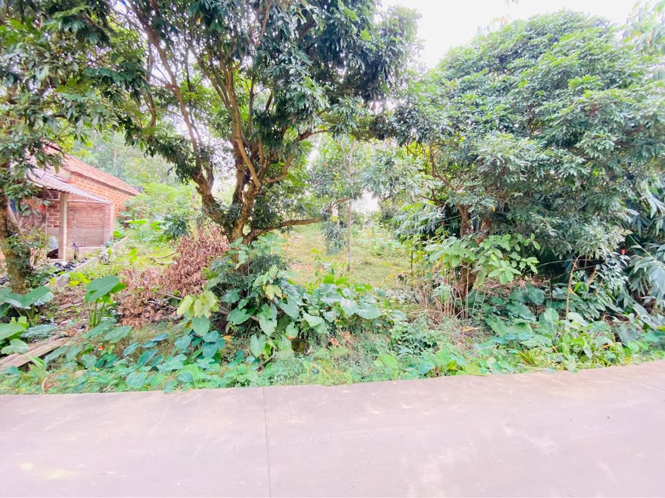 Đất thổ cư 735m² tại Thôn Hoa Sơn, Sóc Sơn - Đầu tư nghỉ dưỡng sinh lời lâu dài!