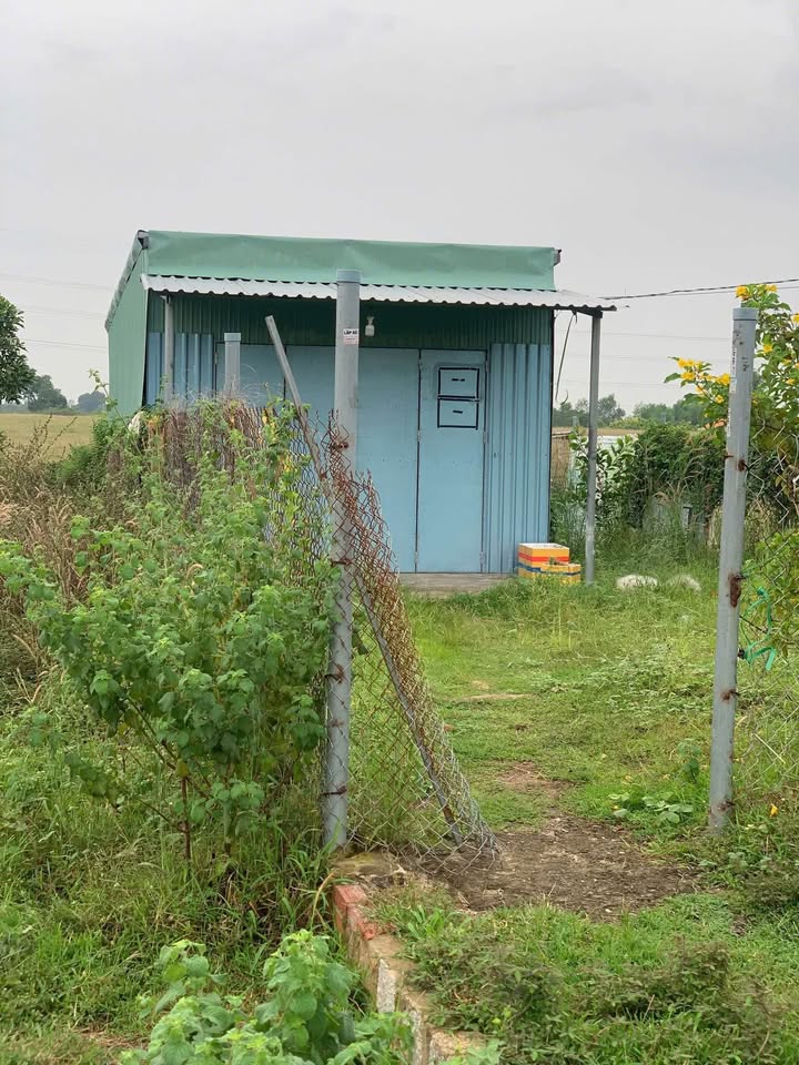 Đất Phước Hội 126m² giá chỉ 1.45 tỷ - Mặt tiền đẹp, gần biển!