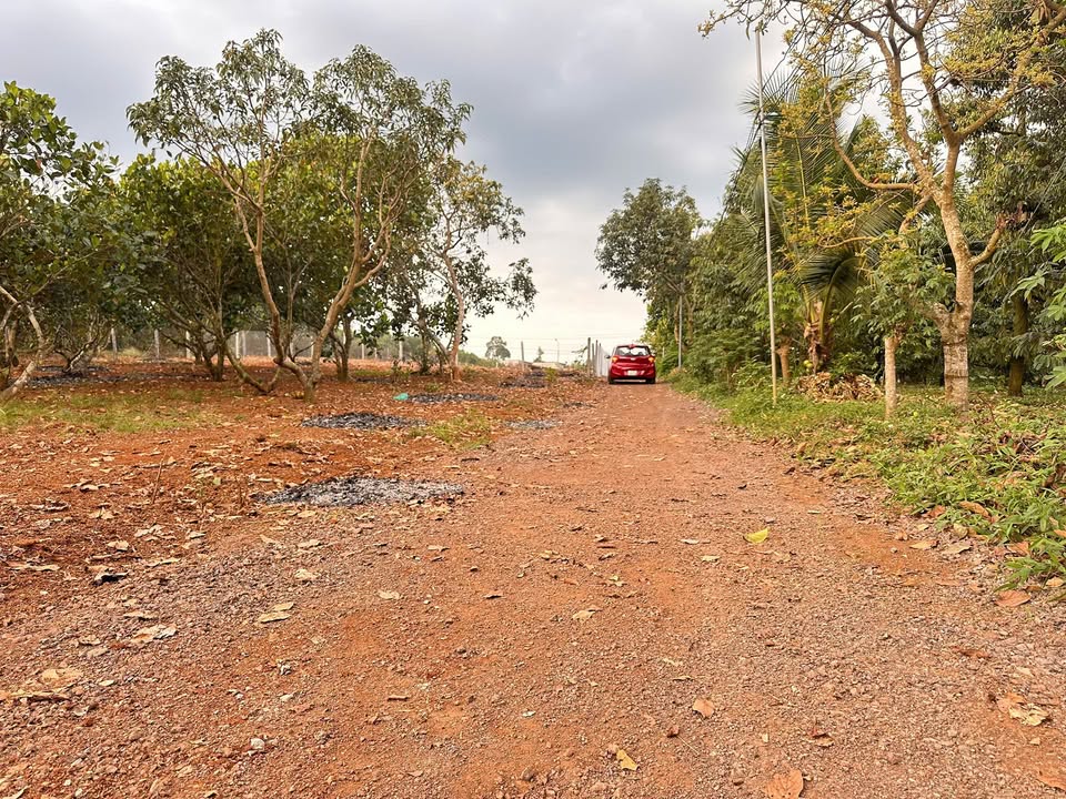 Đất nền 1000m² xã Xuân Định - Mặt tiền 46,46m, giá thỏa thuận