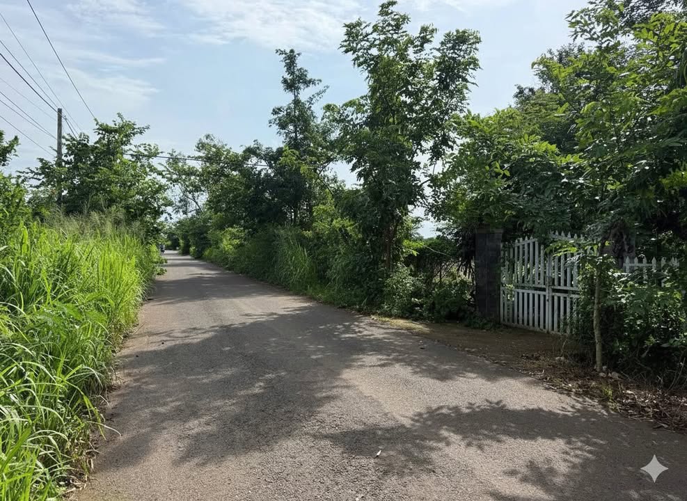 Đất mặt tiền đường nhựa Xuân Bảo, Cẩm Mỹ 1700m² giá 2.6 tỷ - Cơ hội đầu tư hấp dẫn!