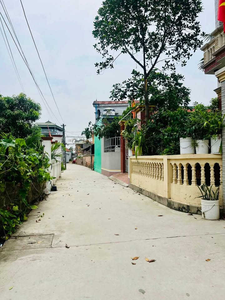 Biệt thự tại Nhuận Trạch, Cẩm Xá 288m² giá 4 tỷ - Sổ đỏ chính chủ!