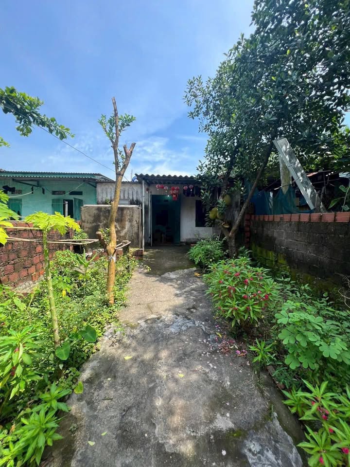 Nhà cấp 4 Mông Dương 100m² giá 1 triệu/tháng - Phù hợp cho công nhân và vợ chồng trẻ!