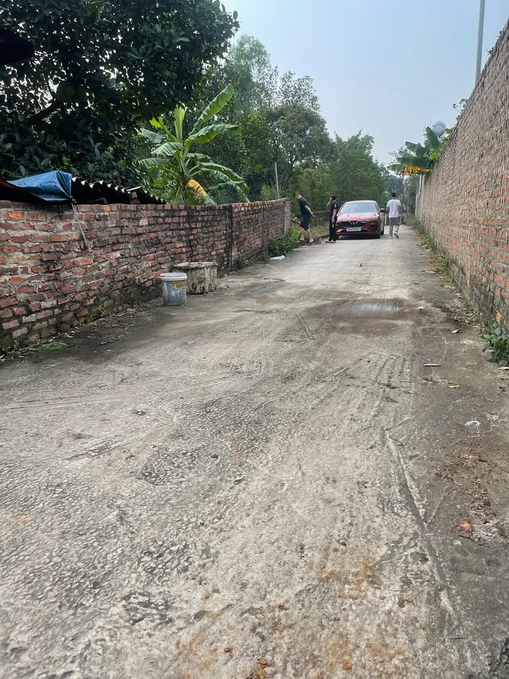 Đất nền Tiên Dược, Sóc Sơn 97.5m² giá 3 tỷ - Đường ô tô thông thoáng!