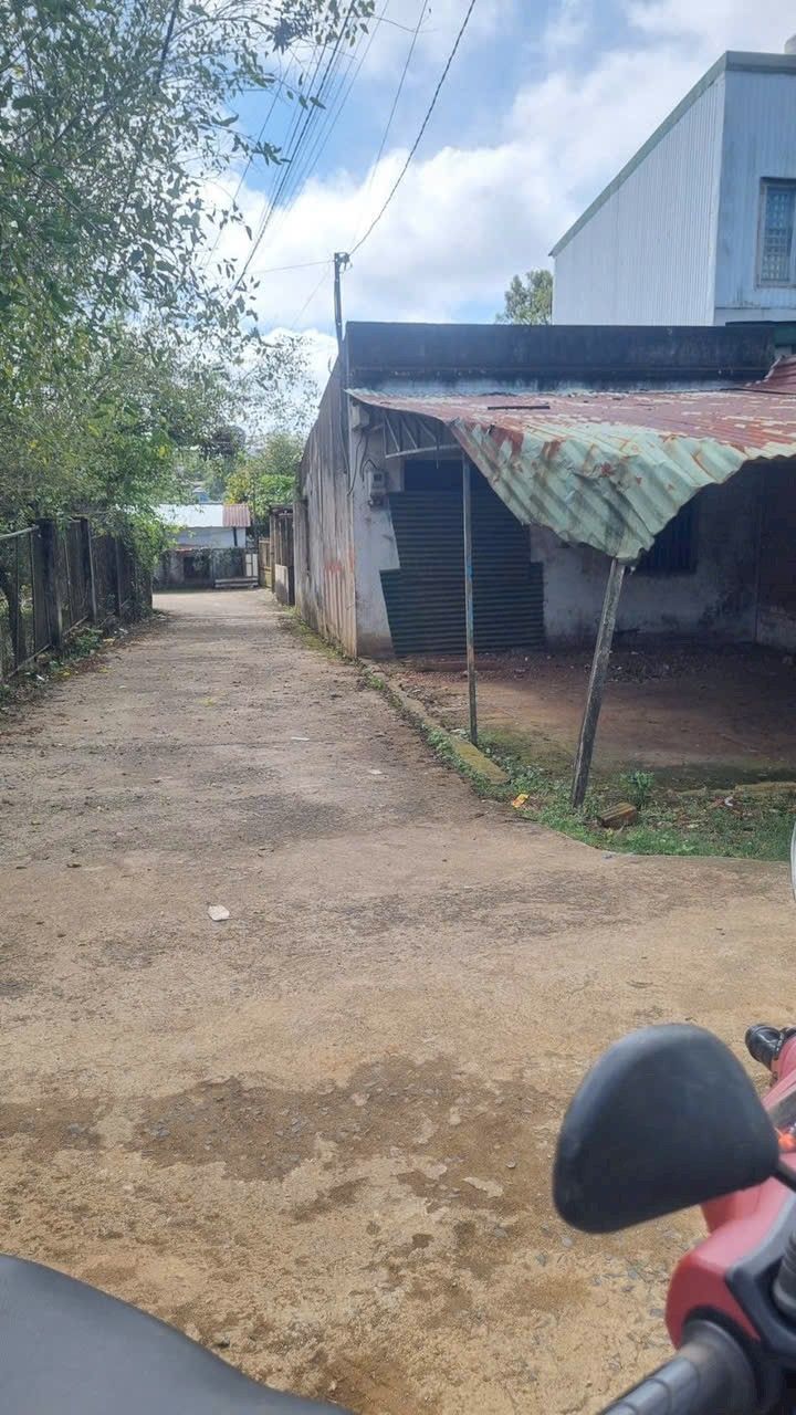 Đất thổ cư Bảo Lộc 180m² giá 1.8 tỷ - Vị trí đắc địa, đầu tư sinh lời!