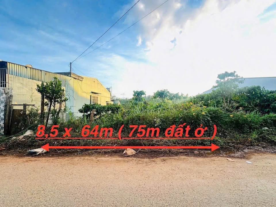 Đất hẻm 274/11 Lê Duẩn, Pleiku 544m² giá 2 tỷ - Đầu tư sinh lời!