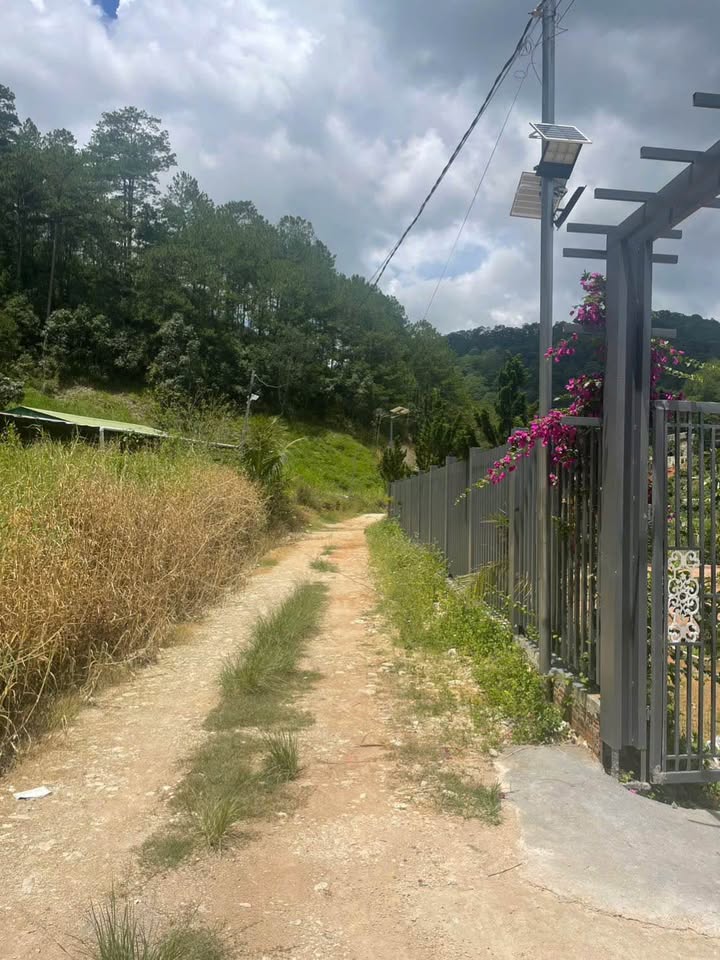 Đất nền Đèo Mimosa, phường Xuân Hương, Đà Lạt 568m² - Giá chỉ 2 tỷ!