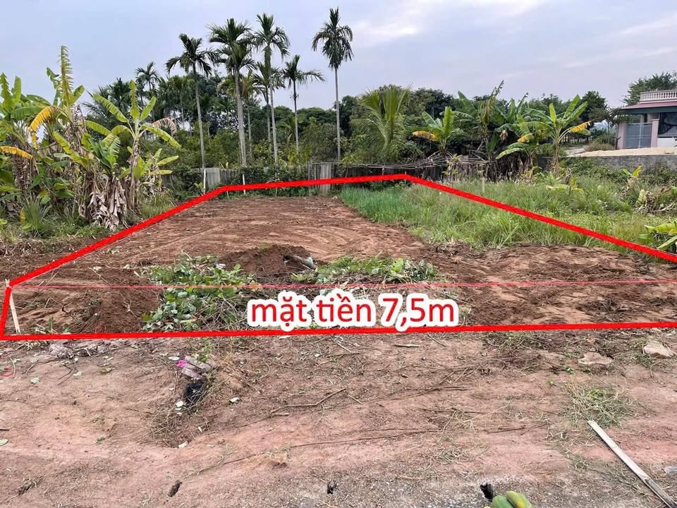 Đất nền Gia Khánh, Gia Lộc, Hải Dương 146.7m² giá 2 tỷ - Đầu tư sinh lời ngay!