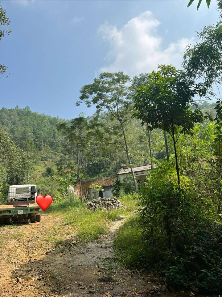 Đất thổ cư Cự Thắng, Thanh Sơn 294m² giá 800 triệu - Phù hợp làm nhà vườn!