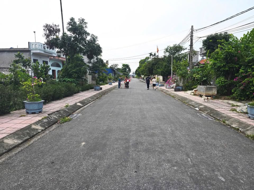 Đất mặt đường trục thôn Hữu Bằng - Kiến Thụy 73m² giá chỉ 1 tỷ - Cơ hội đầu tư hấp dẫn!