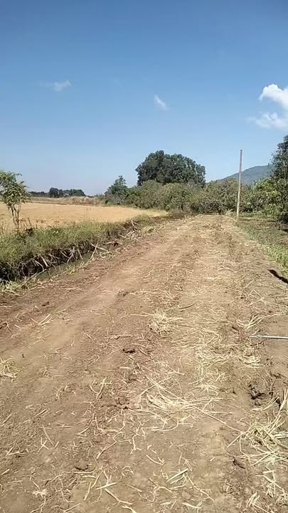 Đất nền Xuân Phú 3600m² giá chỉ 300 triệu - Gần suối và đường xe hơi