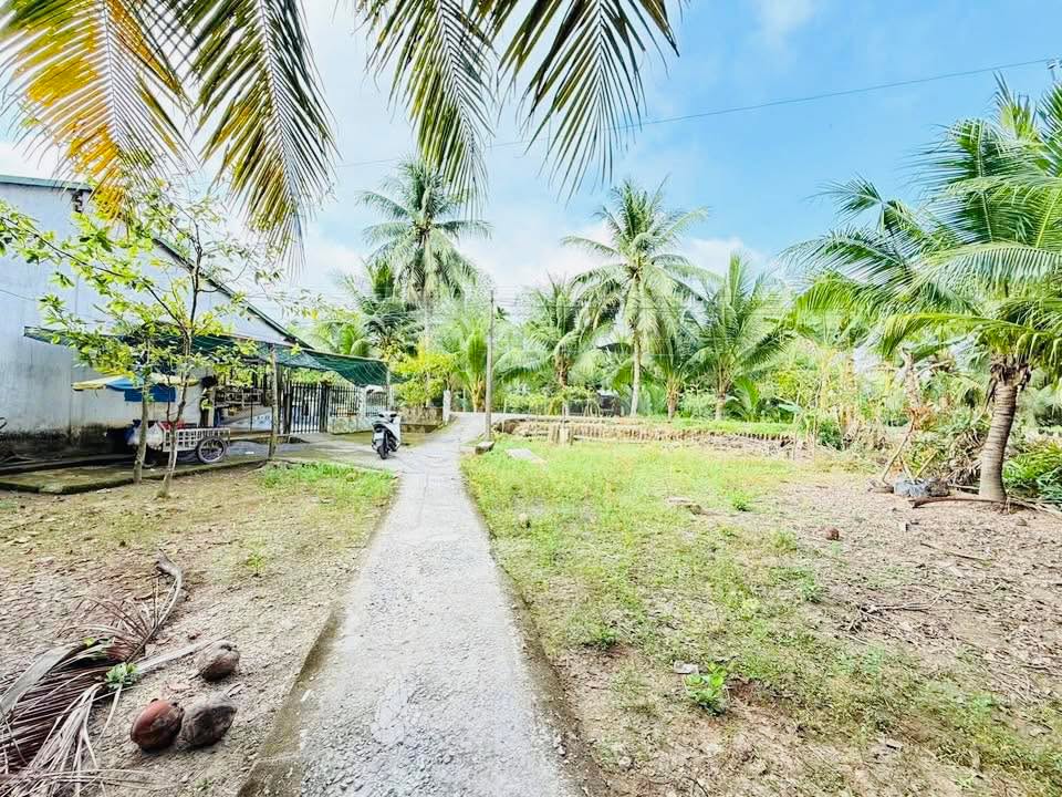 Đất nền Ngãi Tứ, Tam Bình 1.094,5m² giá chỉ 420 triệu - Sổ đỏ chính chủ