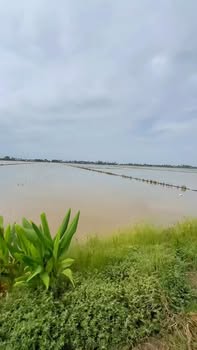 Đất nông nghiệp Định Mỹ 80.000m² - Mặt tiền đường lớn, giá thỏa thuận!